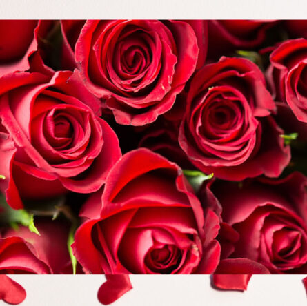 Idee regalo San Valentino 2022 - Gift ideas Valentine Day 2022