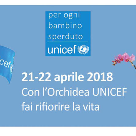 Banner-Orchidea-Unicef